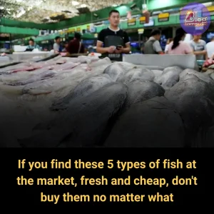 If You Find These 5 Types of Fish at the Market, Fresh and Cheap, Don’t Buy Them No Matter What
