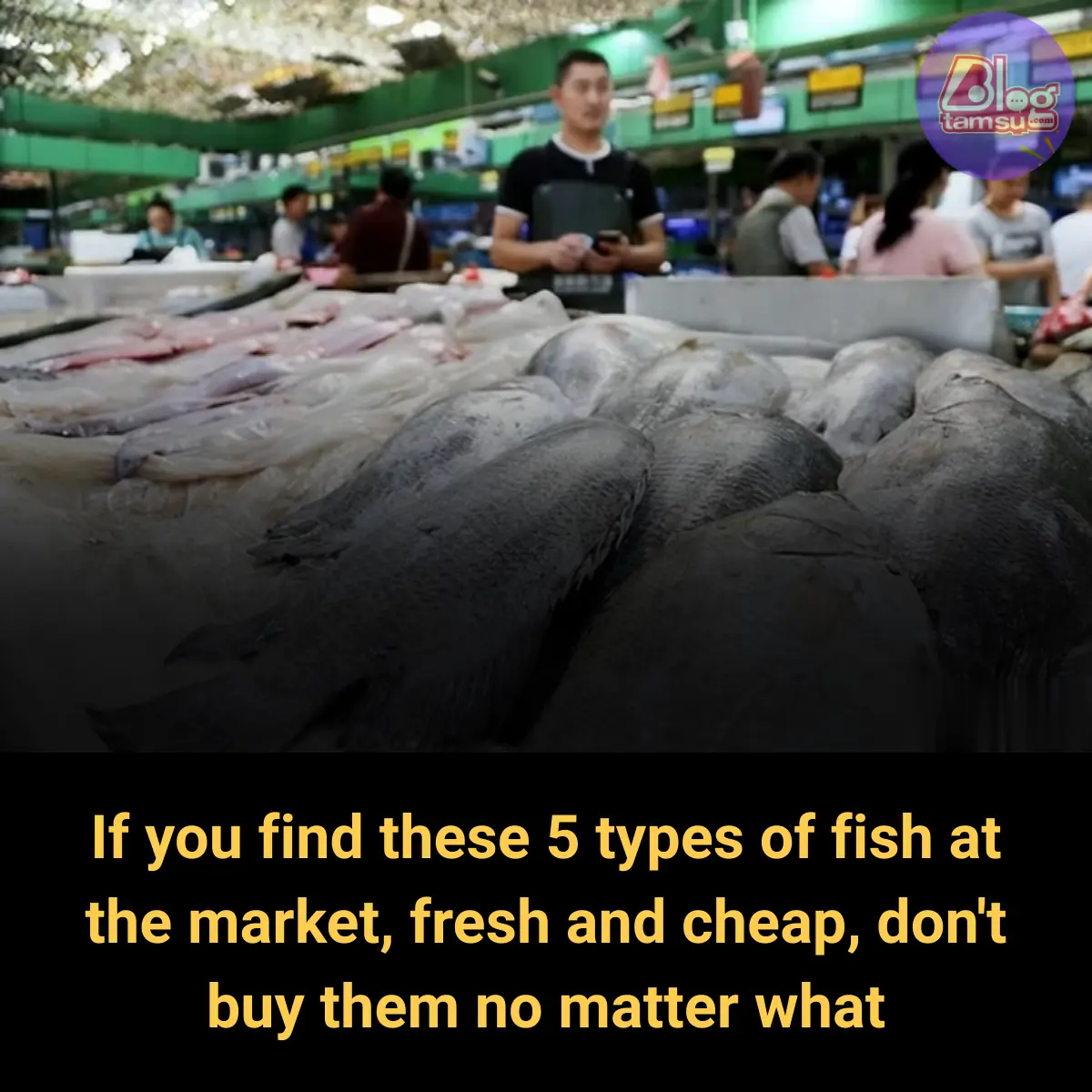If You Find These 5 Types of Fish at the Market, Fresh and Cheap, Don’t Buy Them No Matter What