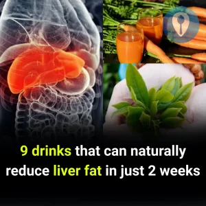 9 drinks that can naturally reduce liver fat in just 2 weeks